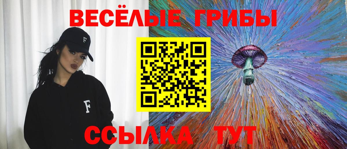 Псилоцибиновые грибы Psilocybe Нефтеюганск